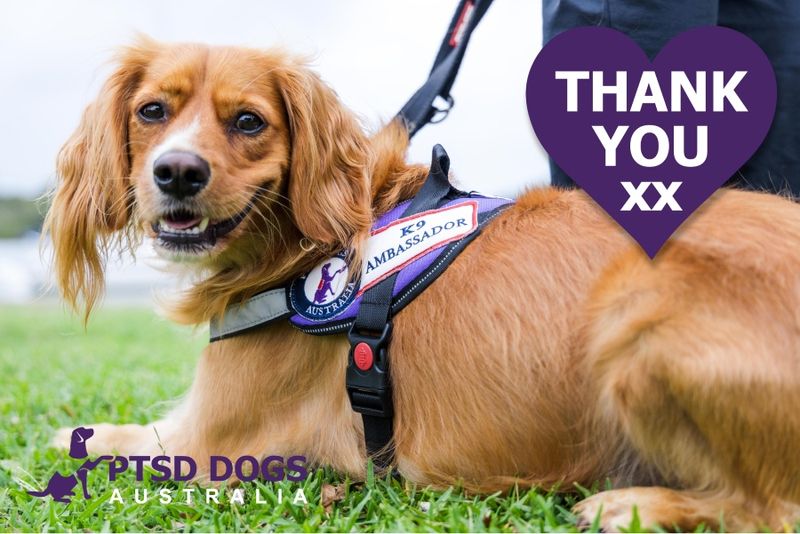 Giving Back We Support our Community Big Dog Pet Foods